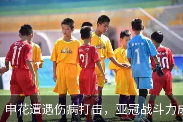 申花遭遇伤病打击，亚冠战斗力成疑